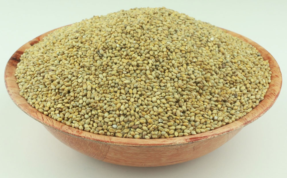 Pearl Millet (Kambu)