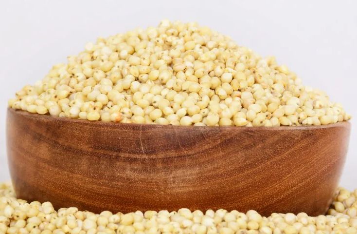 Sorghum Millet (White Corn)